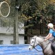 horseball Haras de Compostela