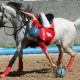 horseball Haras de Compostela